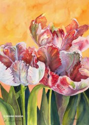 A New Season - by DeAna DiGioia