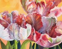 A New Season - by DeAna DiGioia