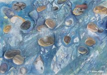 Low Tide  - by DeAna DiGioia